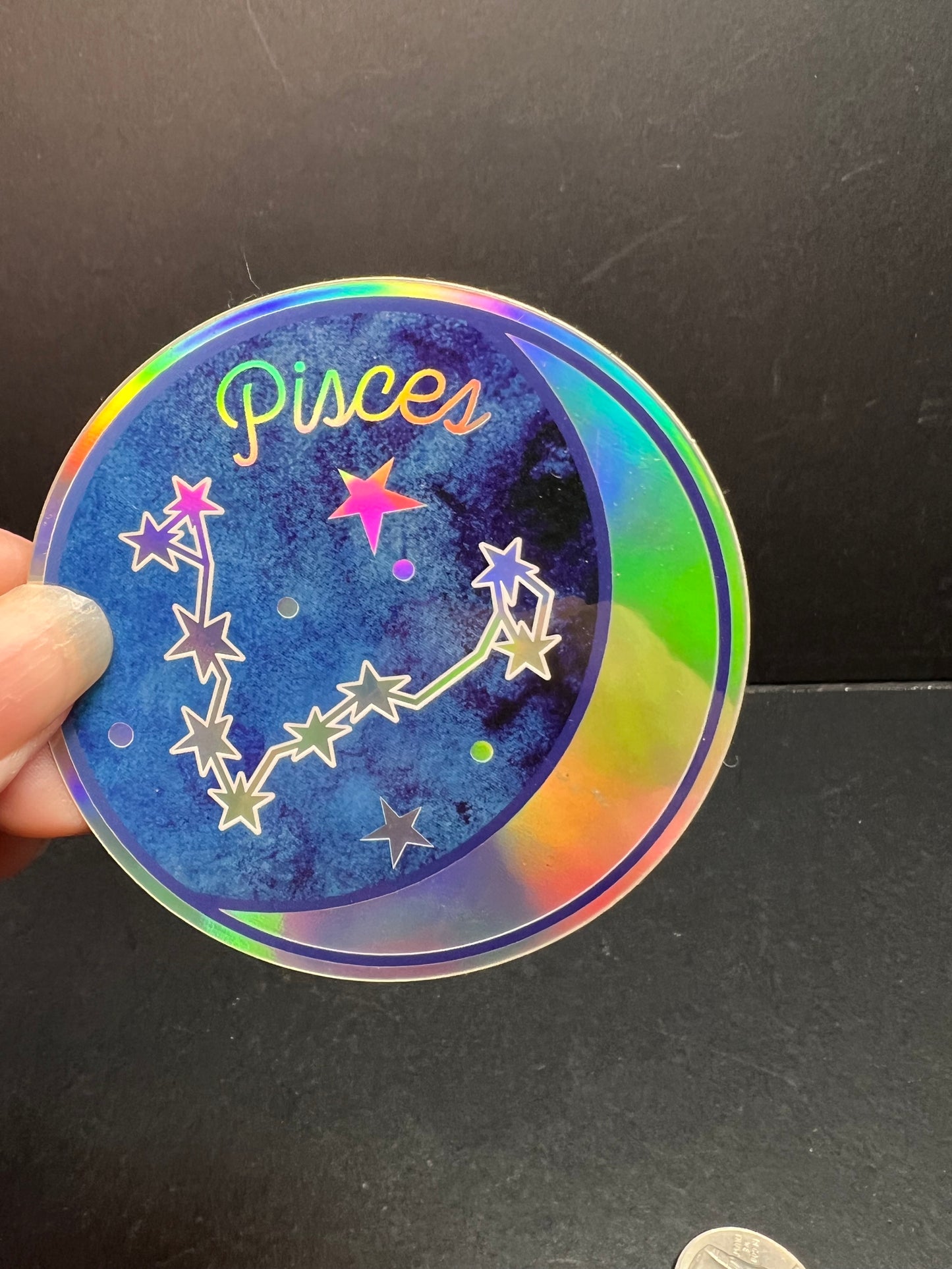 Pisces Constellation Holographic Sticker – Wild Flower