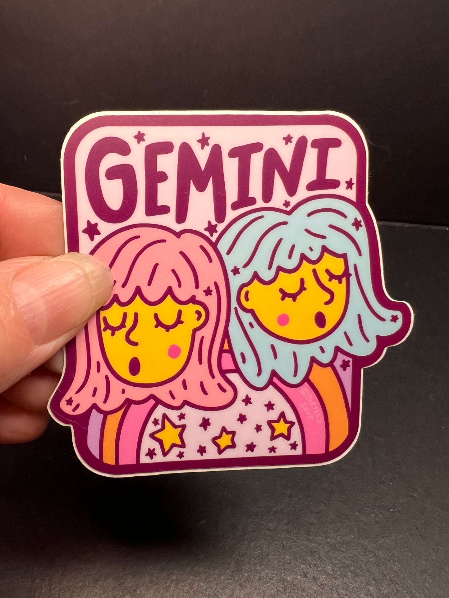 Turtle’s Soup Gemini Zodiac Sticker – Waterproof Vinyl
