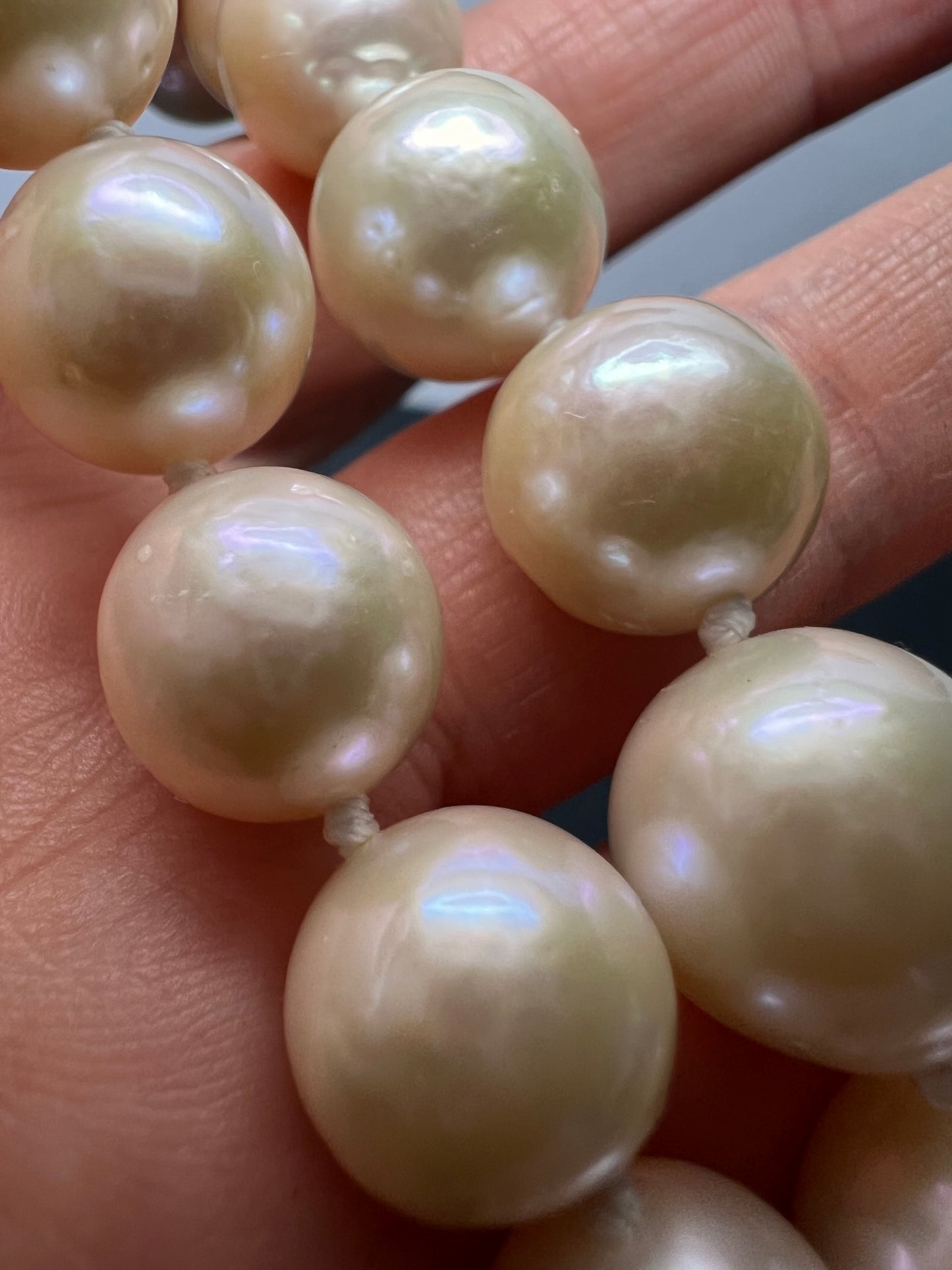 NEW White Cultured Freshwater Pearl Rhodium Over Sterling Silver Necklace 20 inch