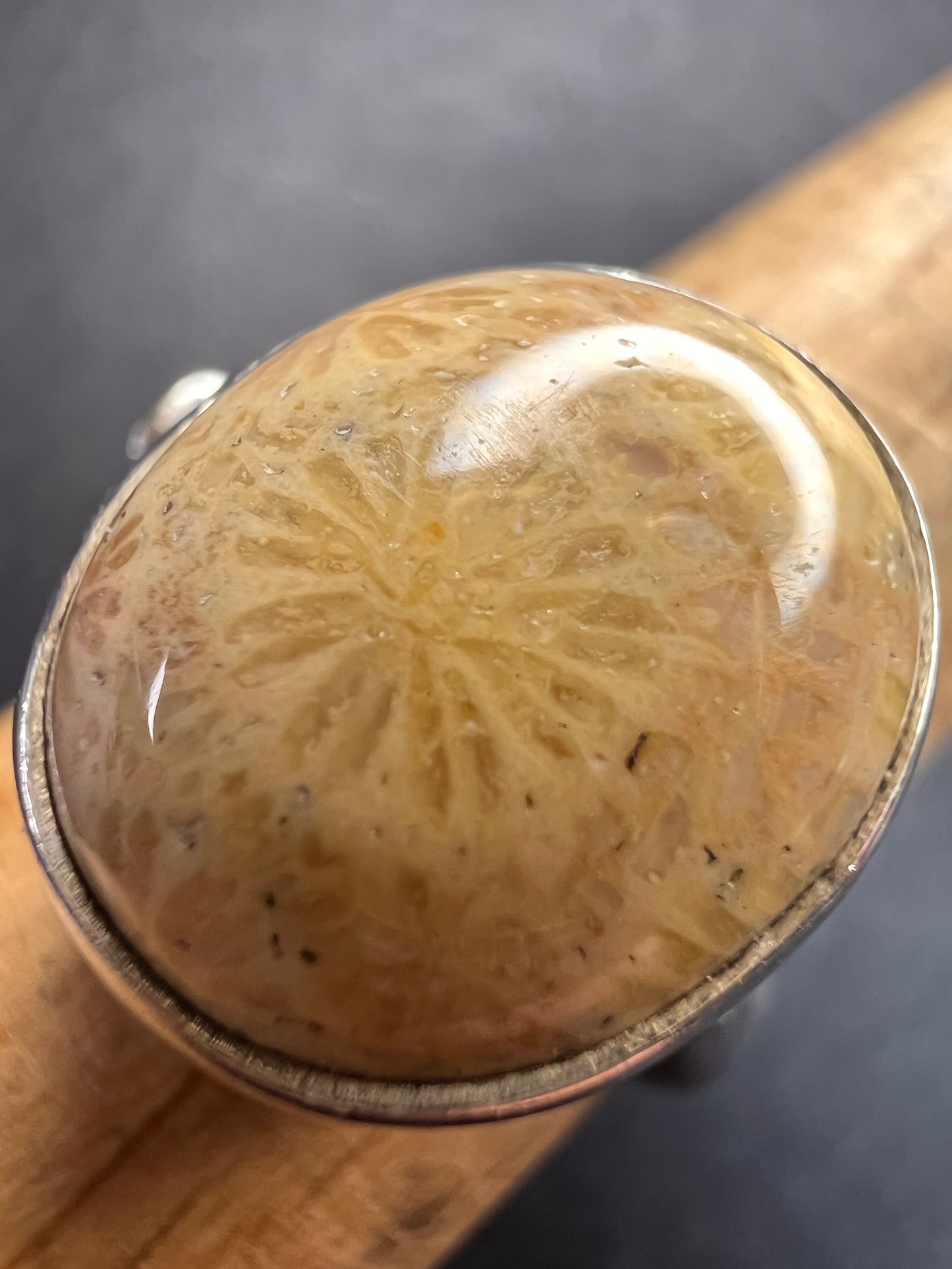 Sajen fossil coral sterling silver ring size 7