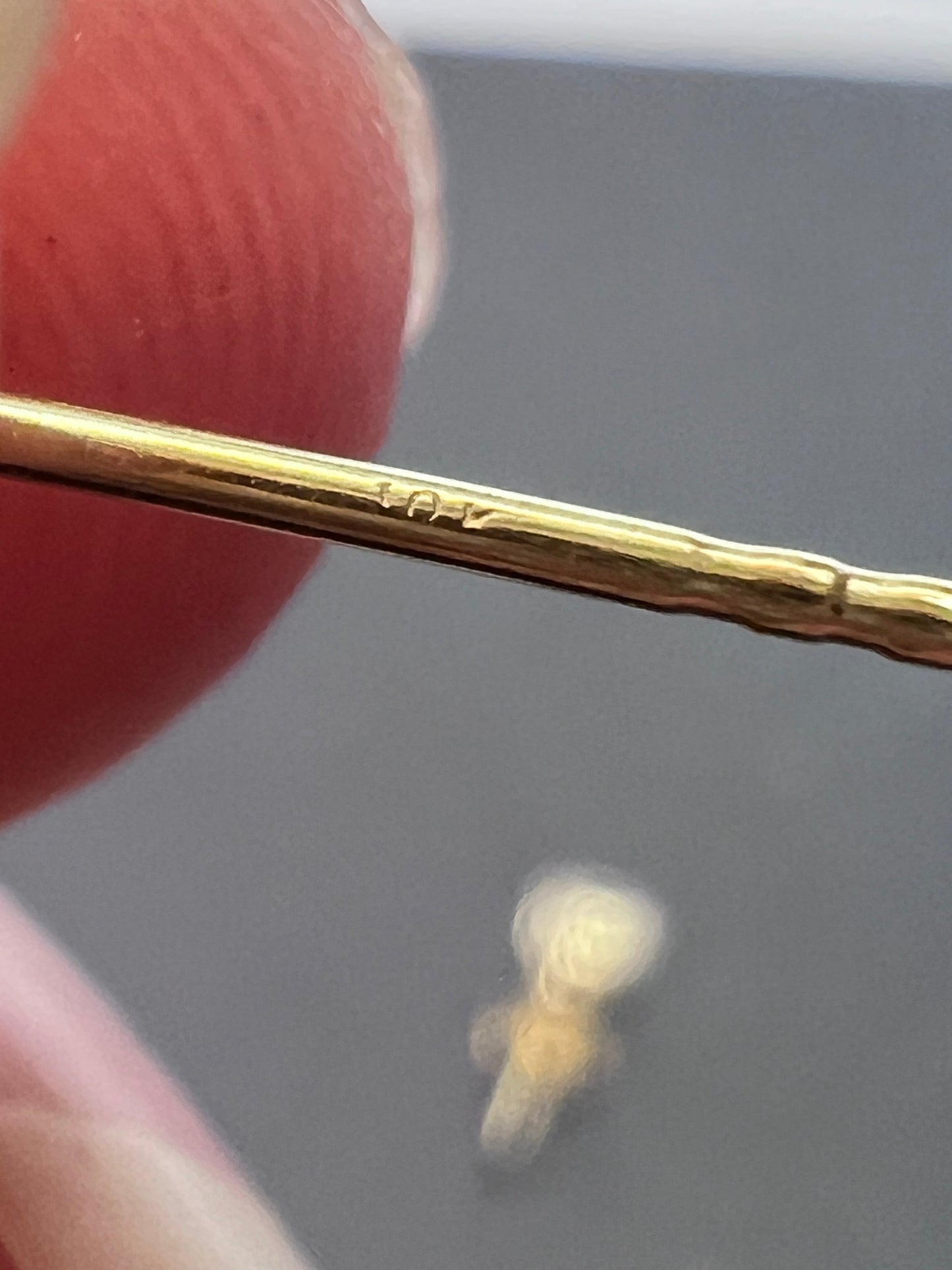 10k yellow gold moissanite stud earrings 4.8mm