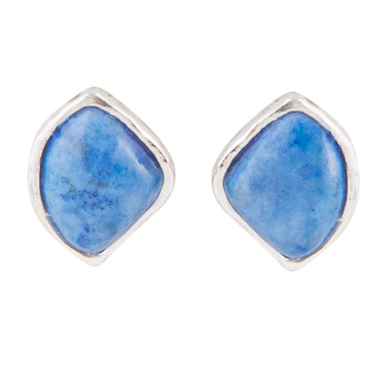 Barse Abstract Blue Lapis and Sterling Silver Post Earrings
