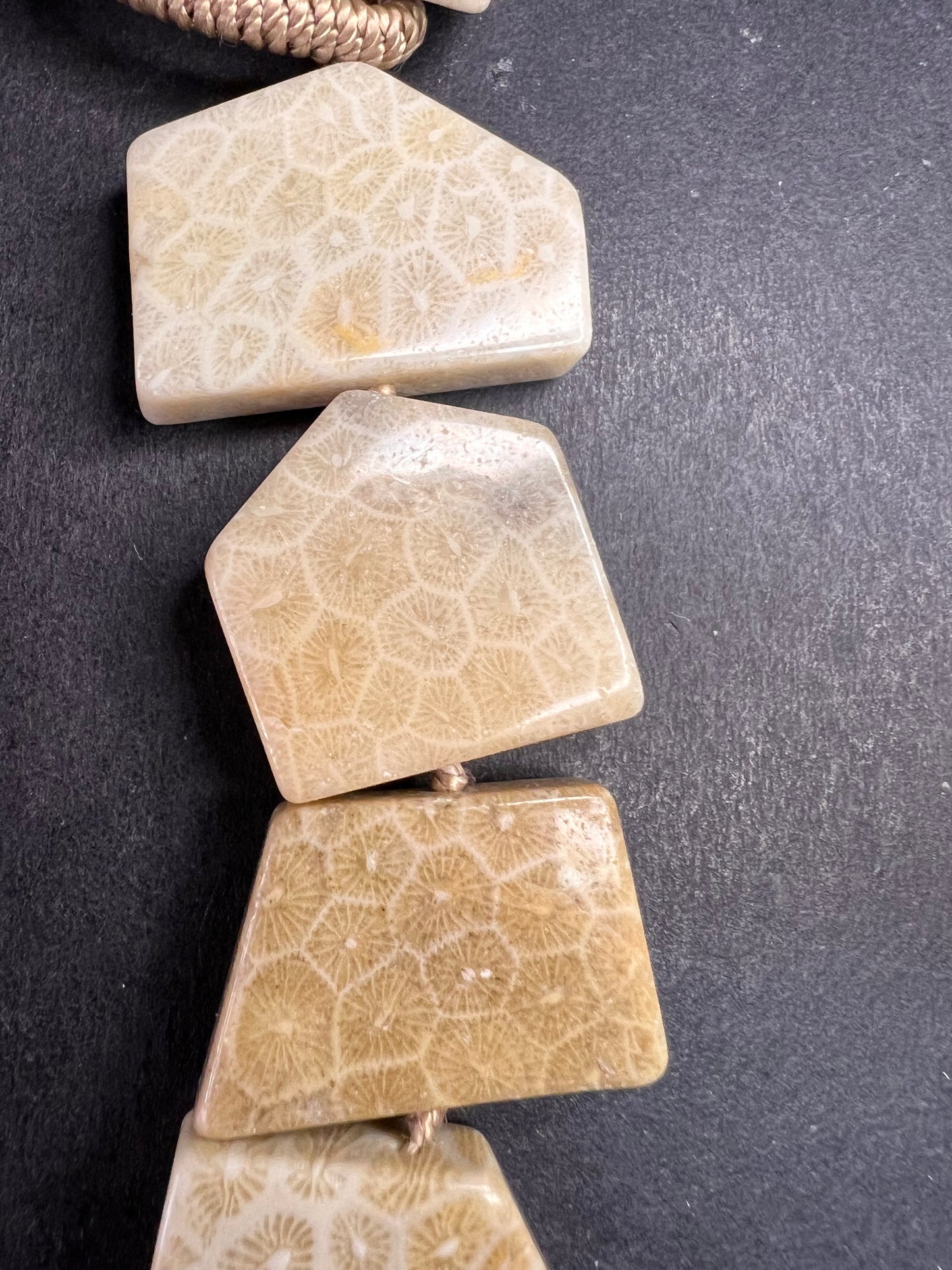 NEW fossil coral knotted necklace