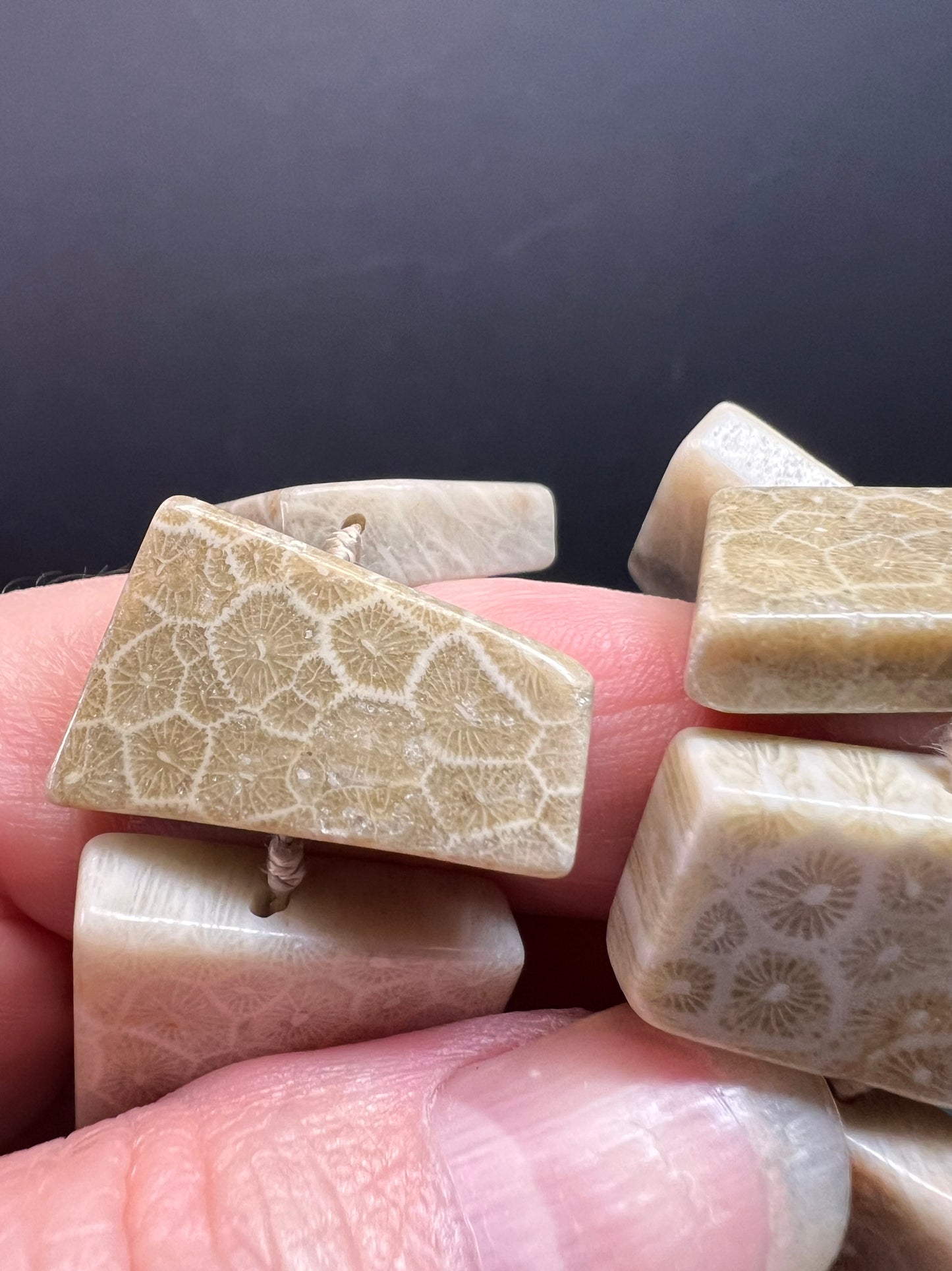 NEW fossil coral knotted necklace