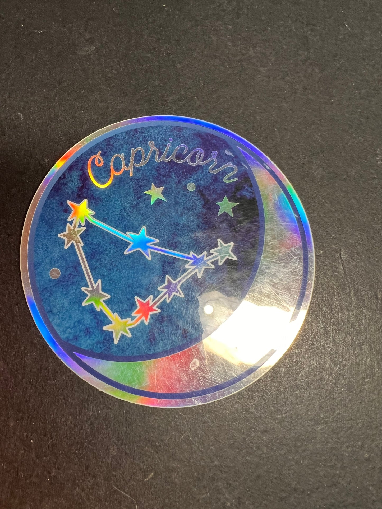Capricorn Holographic Sticker – Wild Flower