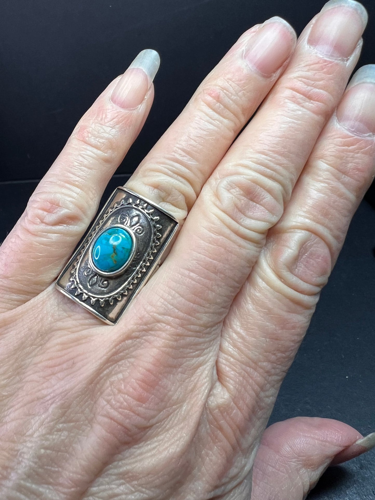 Vintage DIDAE Sterling Silver Kingman Turquoise Shield Ring – Size 7