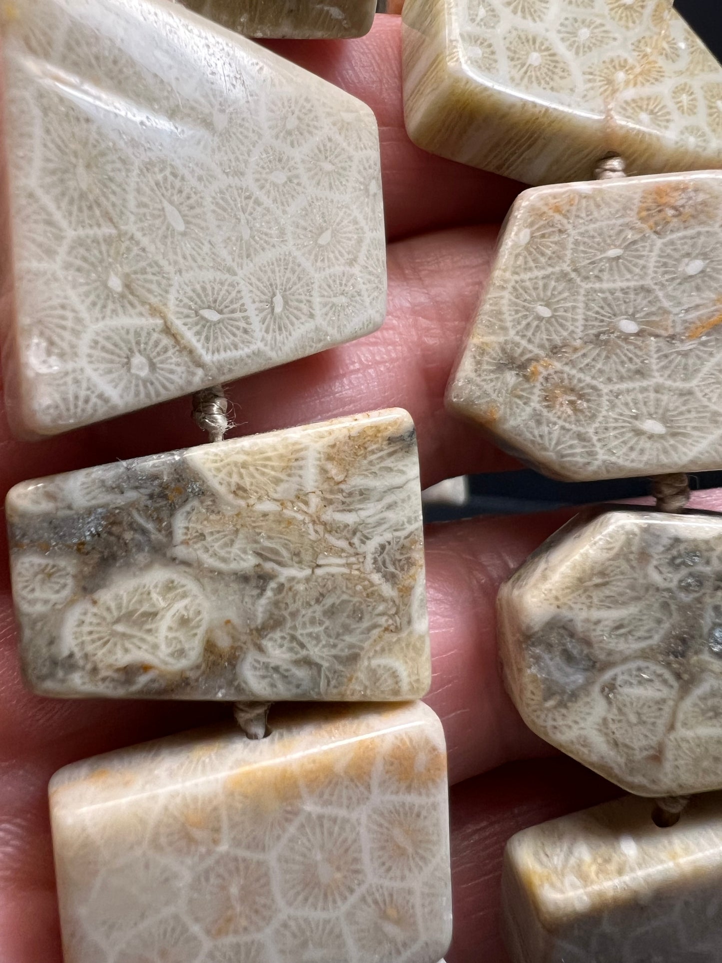 NEW fossil coral knotted necklace