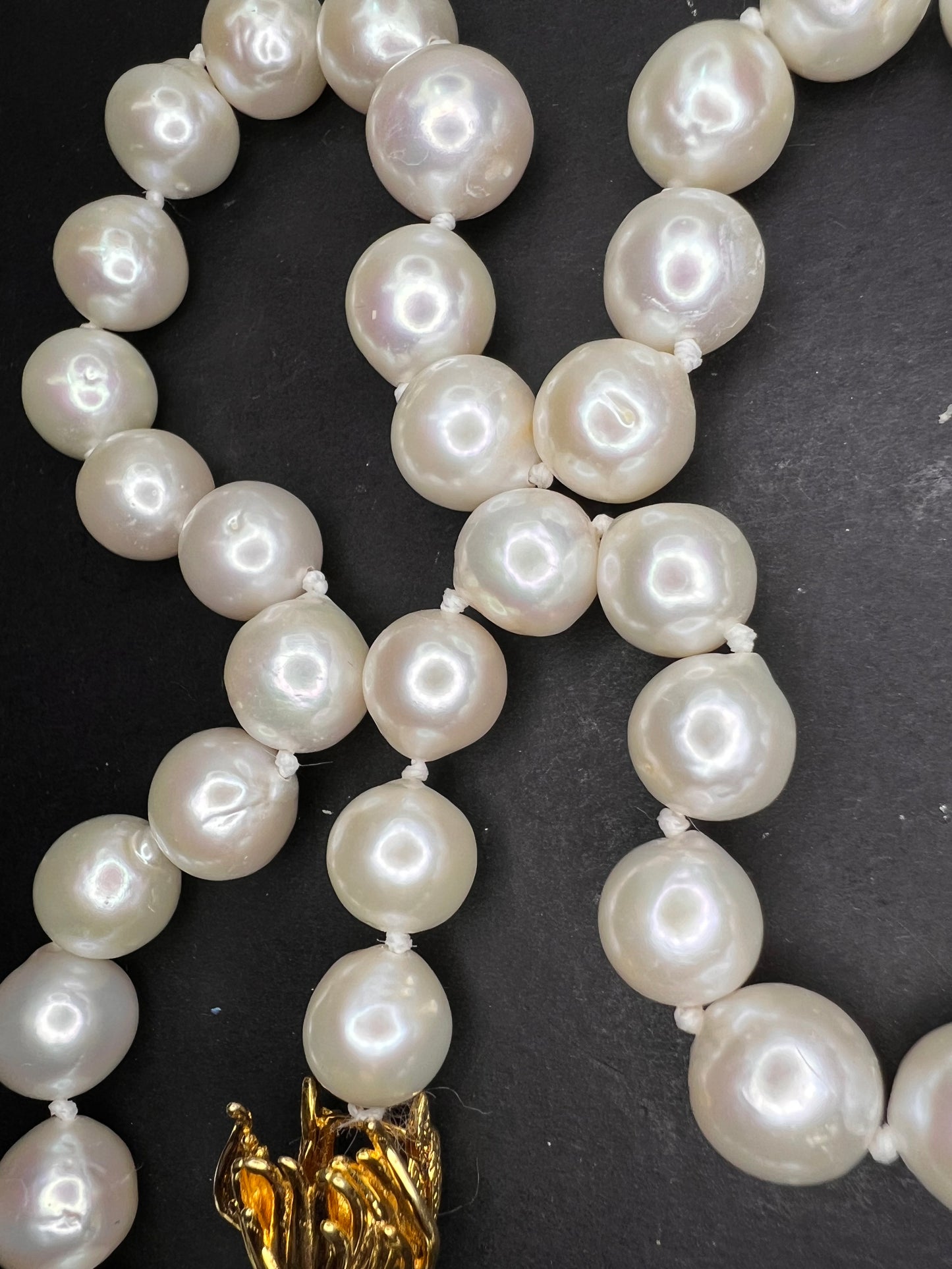 10-11mm white cultured pearl necklace with gold over sterling silver wolf head clasp 20 inch