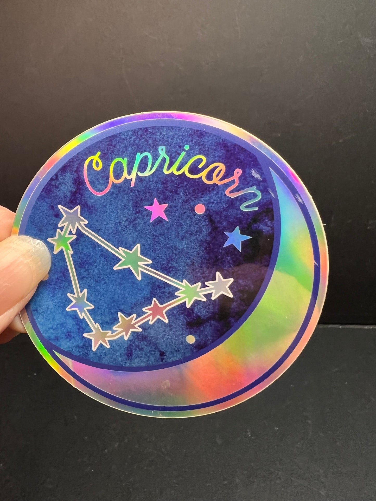 Capricorn Holographic Sticker – Wild Flower