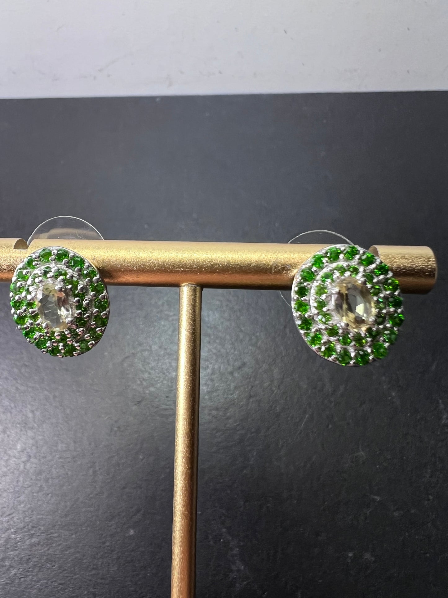 Turkizite, Chrome Diopside Platinum Over Sterling Silver halo Earrings 3.00 ctw