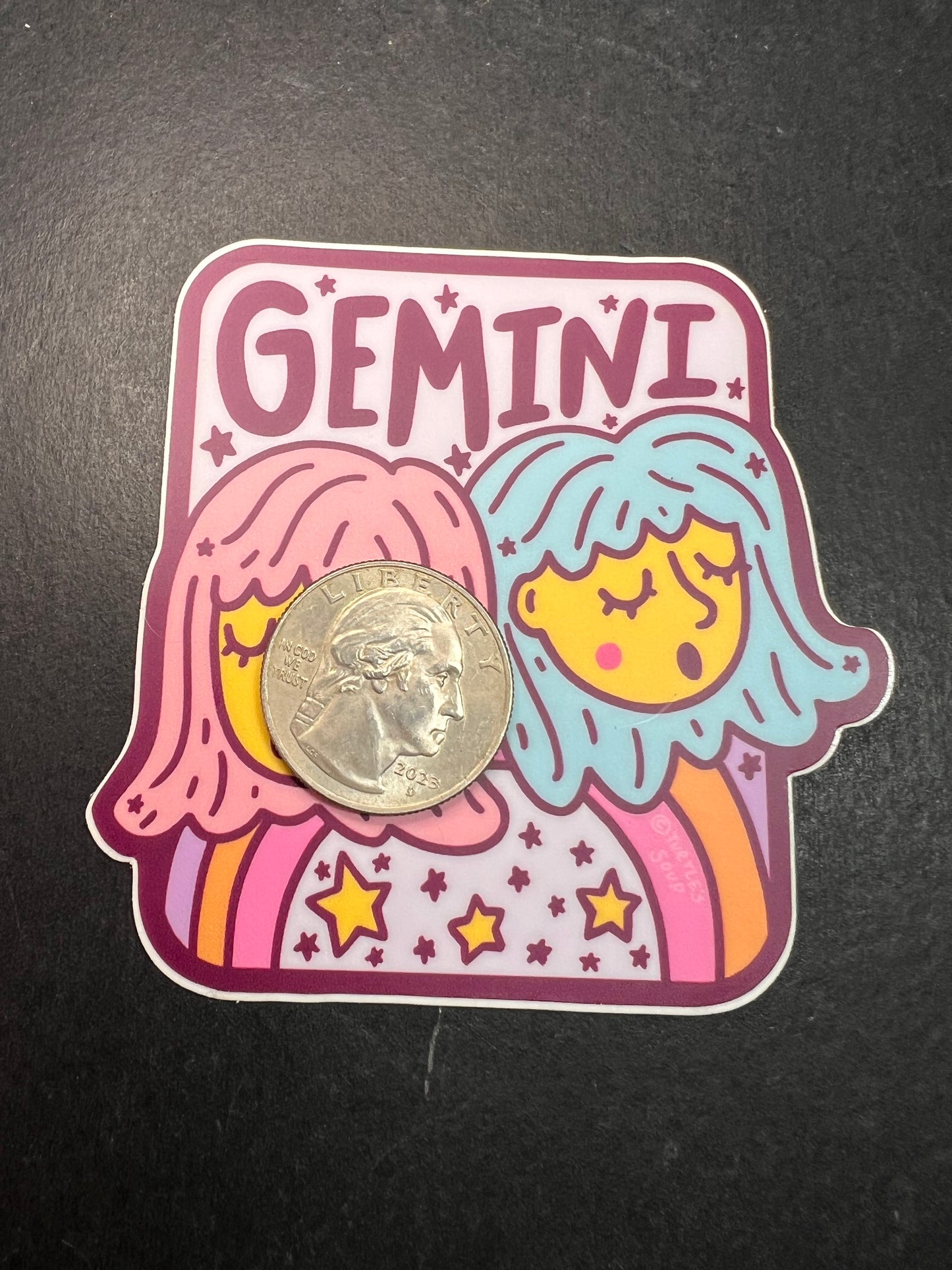 Turtle’s Soup Gemini Zodiac Sticker – Waterproof Vinyl