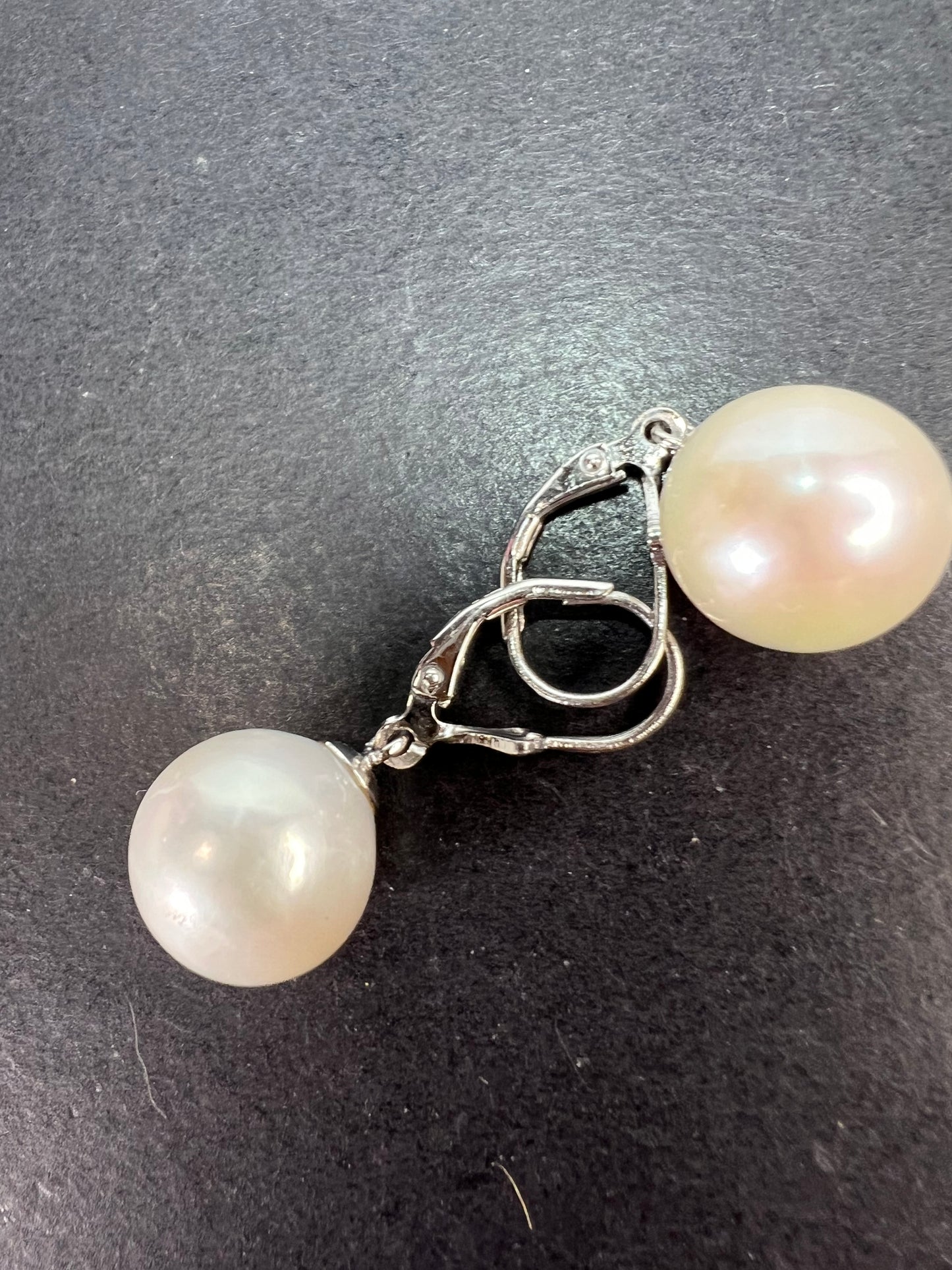 White cultured freshwater pearl earrings in rhodium over sterling silver lever backs