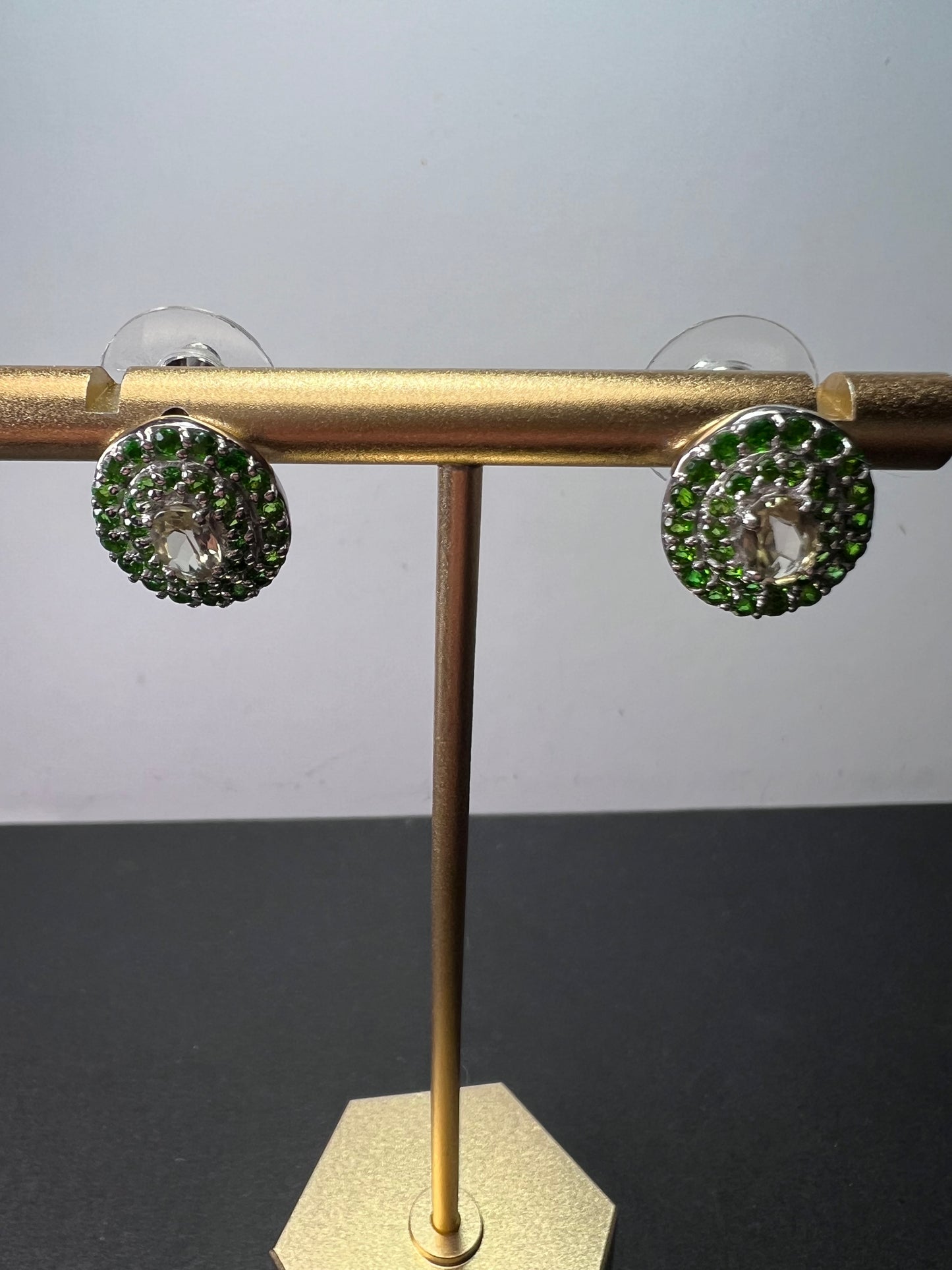 Turkizite, Chrome Diopside Platinum Over Sterling Silver halo Earrings 3.00 ctw