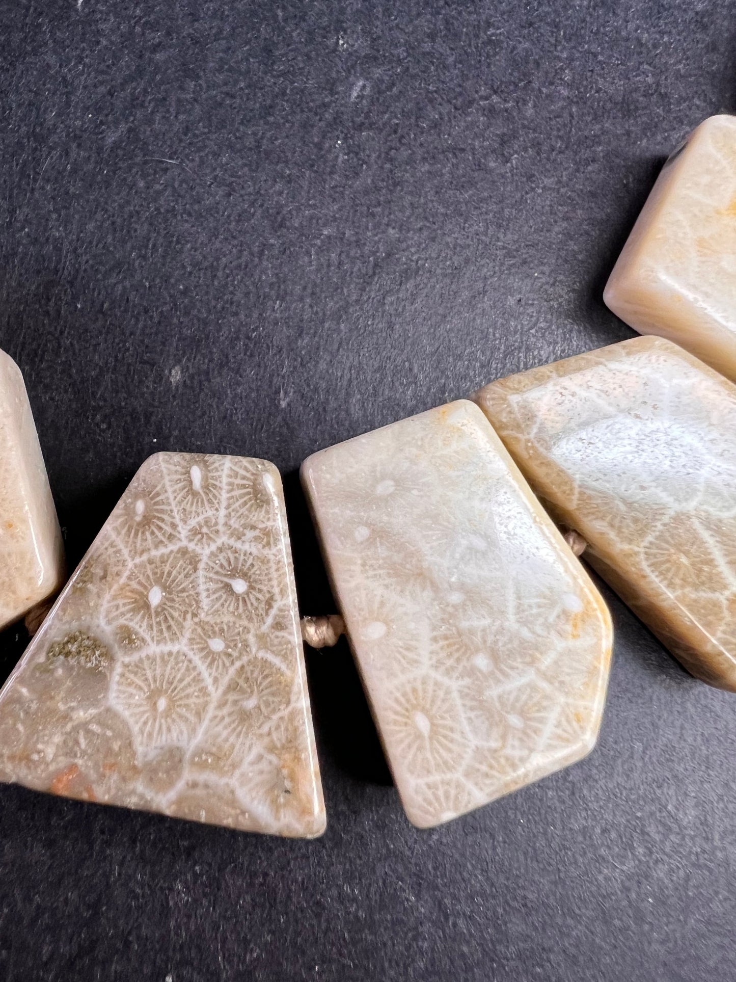 NEW fossil coral knotted necklace