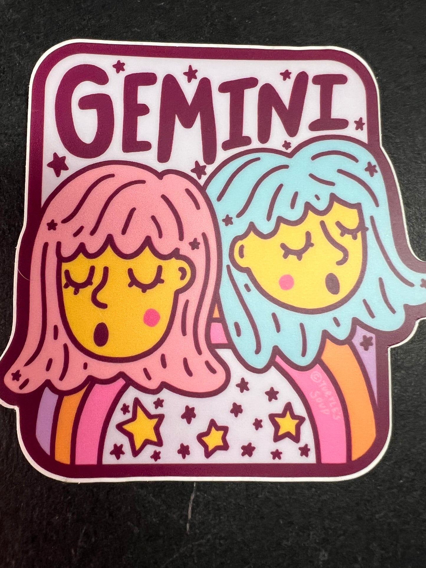 Turtle’s Soup Gemini Zodiac Sticker – Waterproof Vinyl
