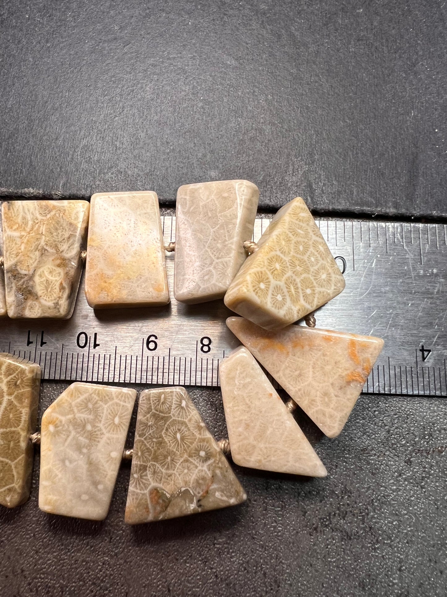 NEW fossil coral knotted necklace