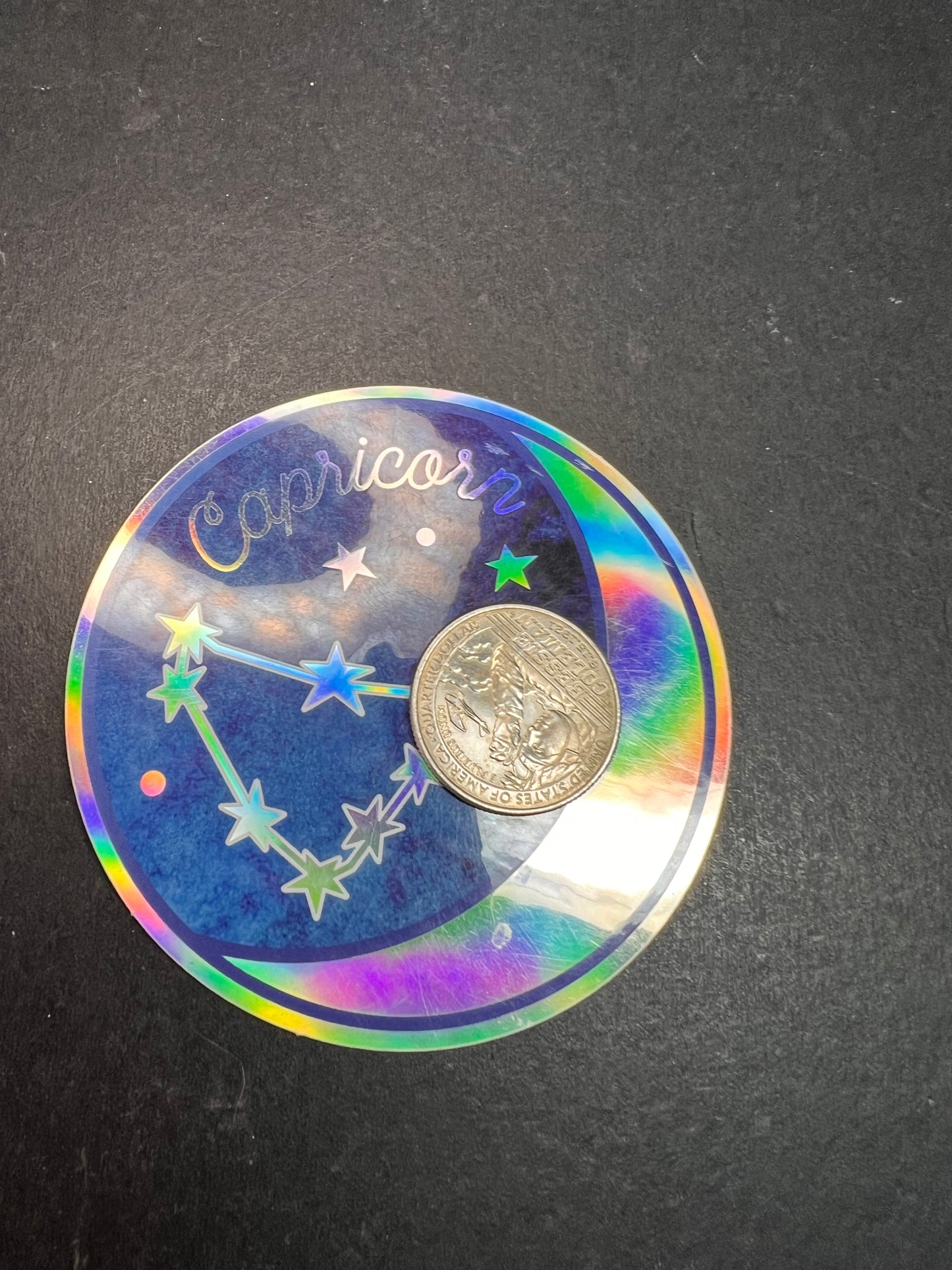 Capricorn Holographic Sticker – Wild Flower