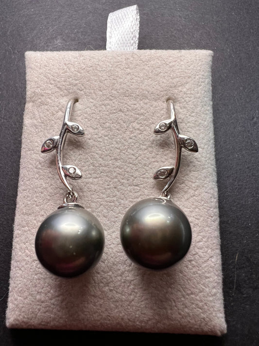 11mm Tahitian pearl sterling silver earrings