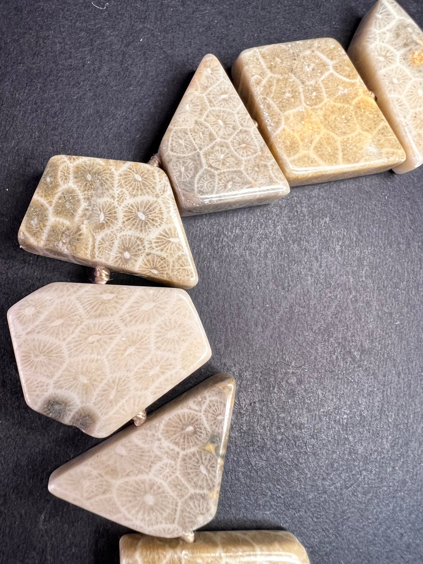 NEW fossil coral knotted necklace