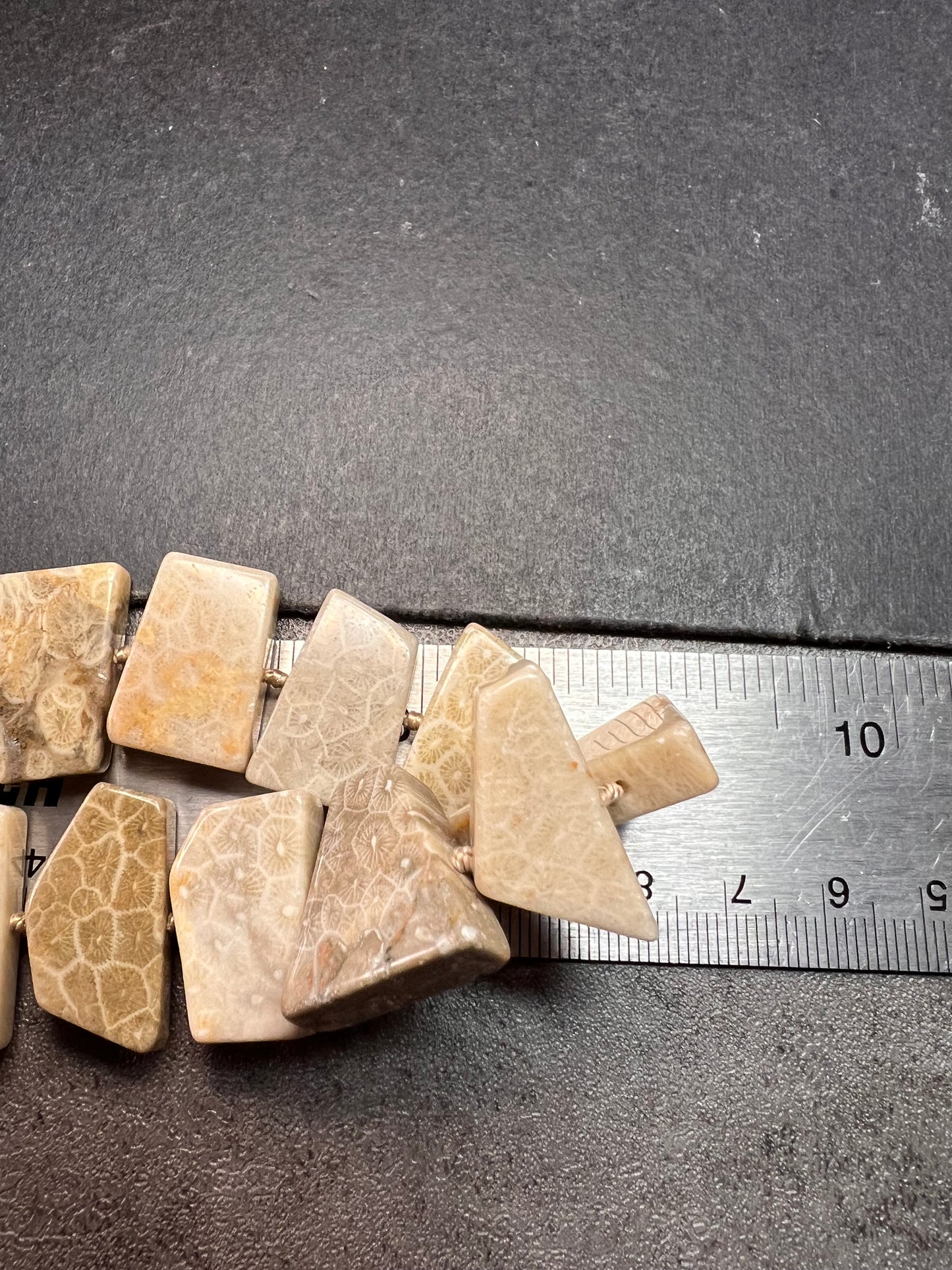 NEW fossil coral knotted necklace