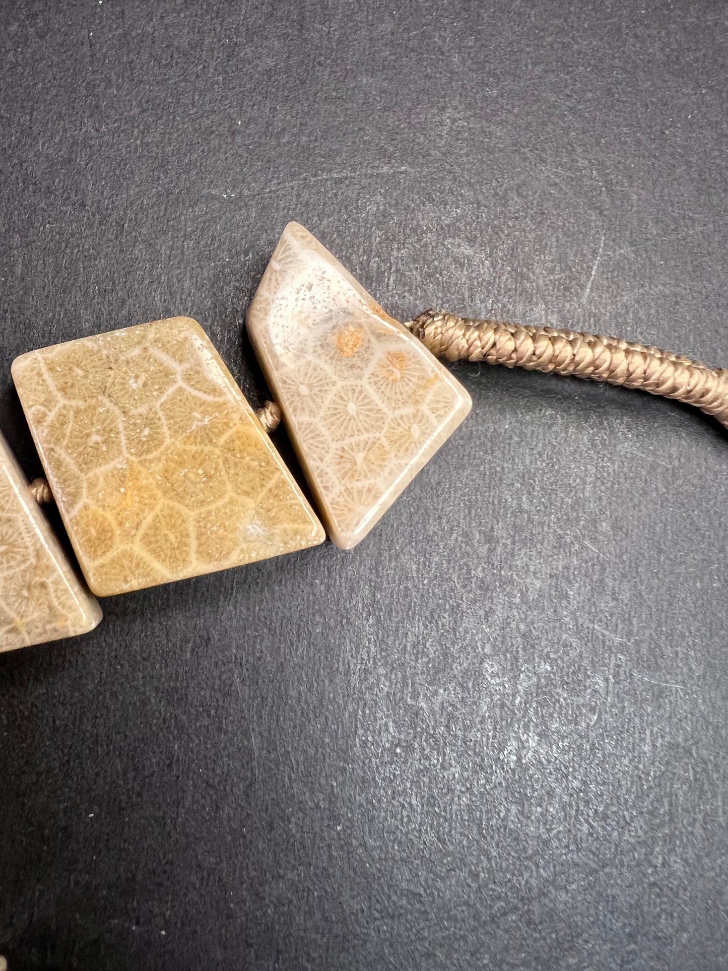 NEW fossil coral knotted necklace