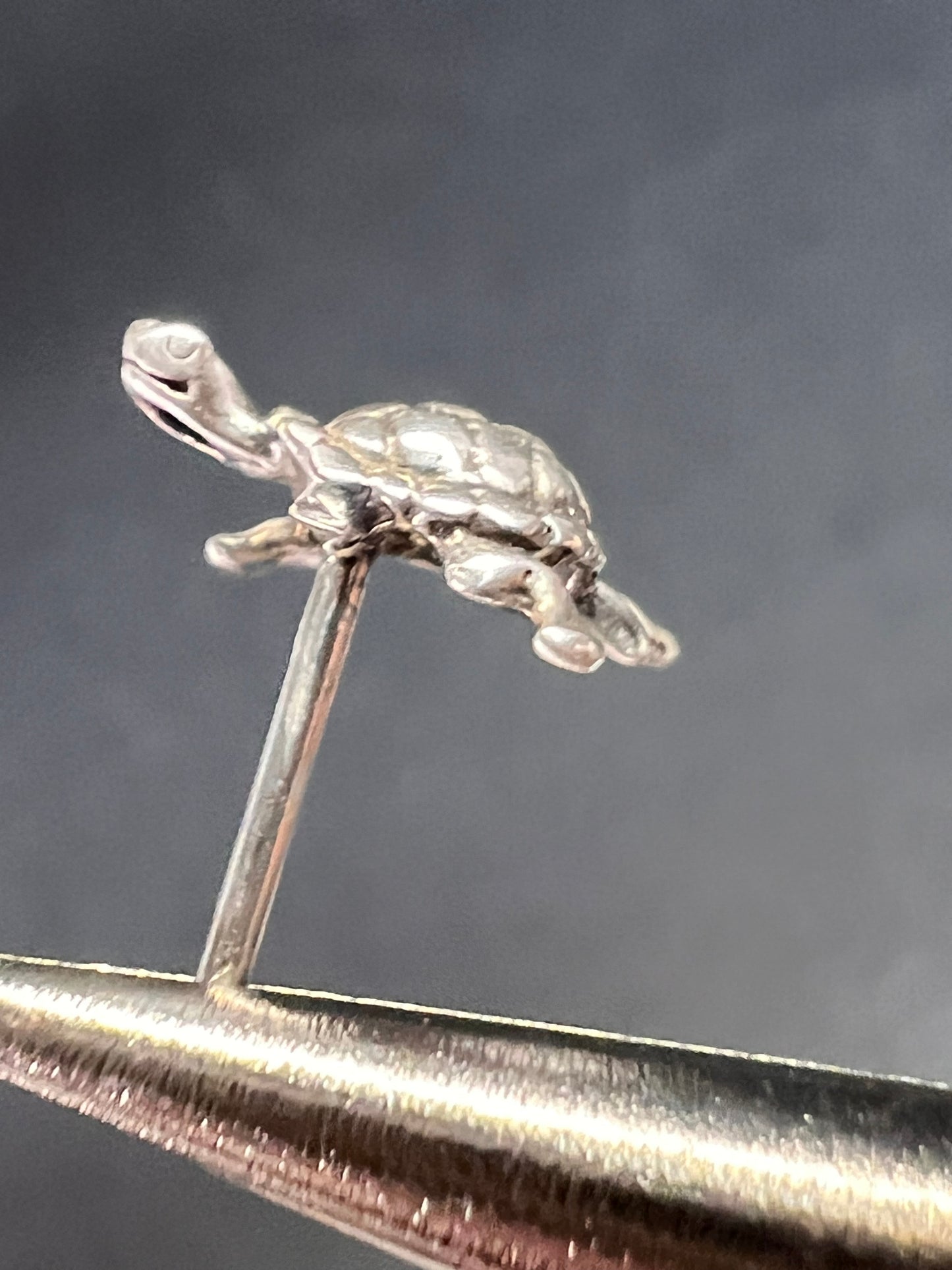Tiny sterling silver turtle stud earrings