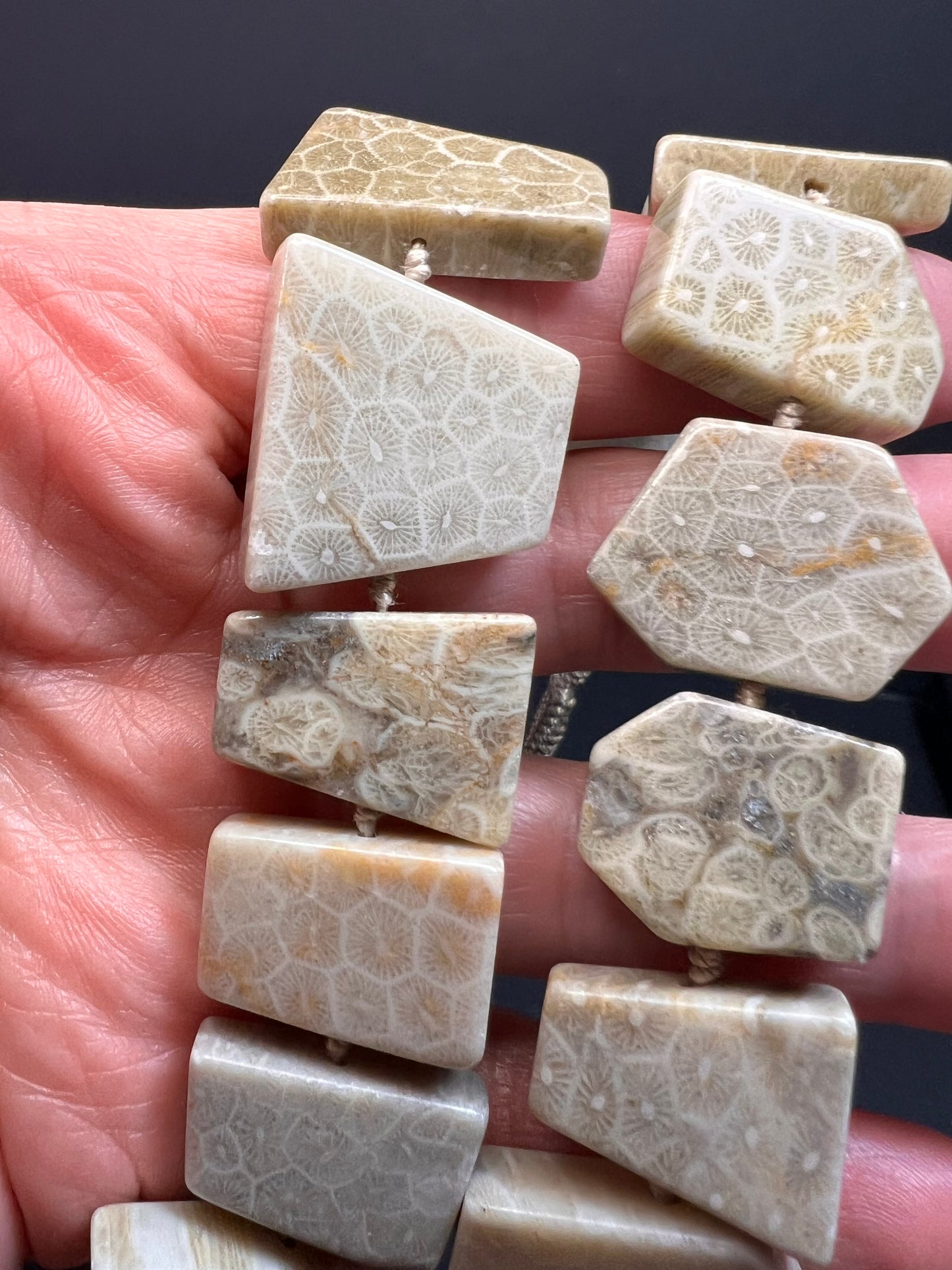 NEW fossil coral knotted necklace