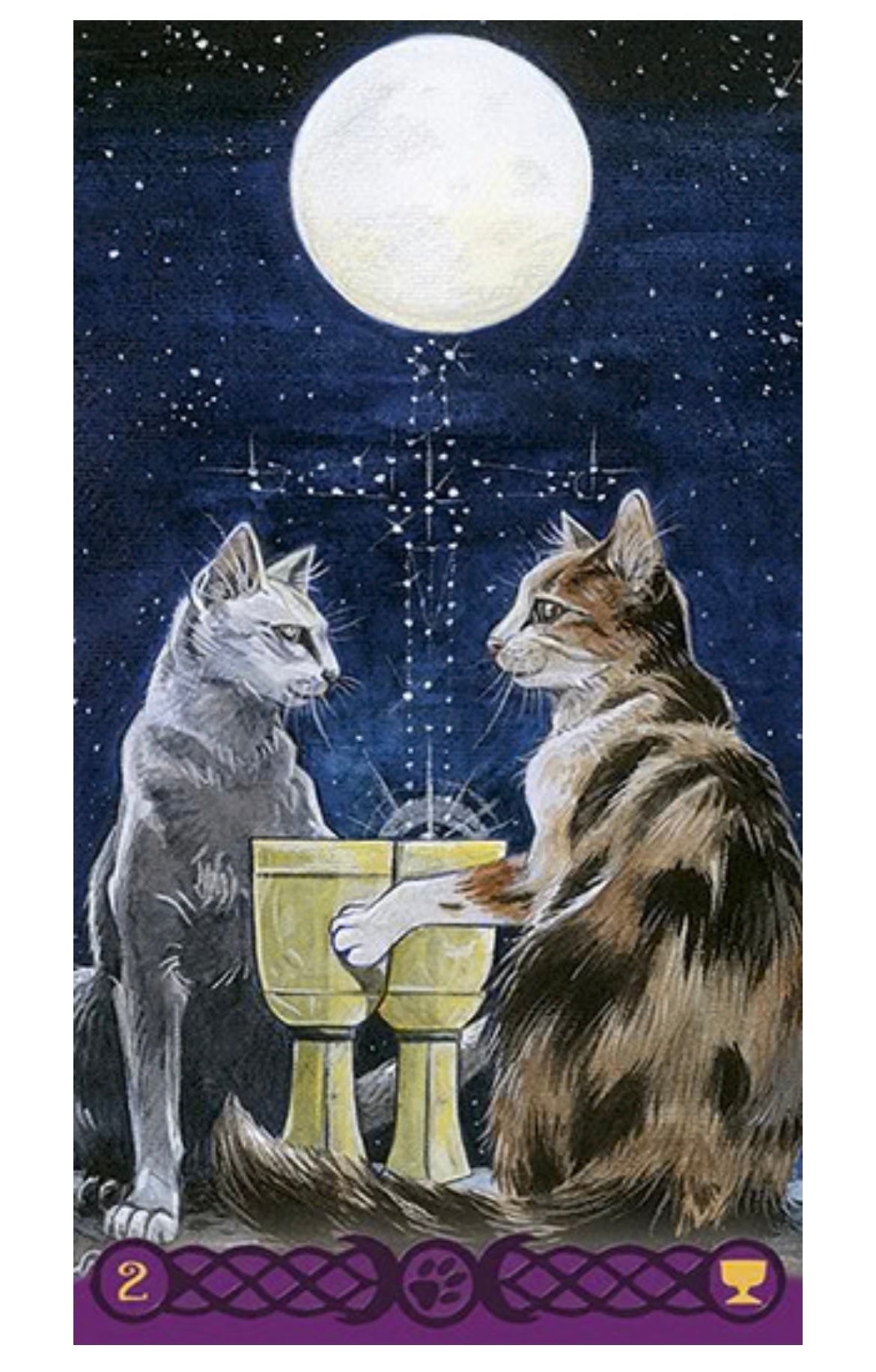 Tarot of the Pagan Cats