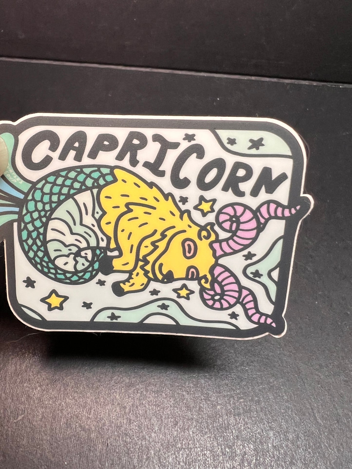 Turtle’s Soup Capricorn Zodiac Sticker – Waterproof Vinyl