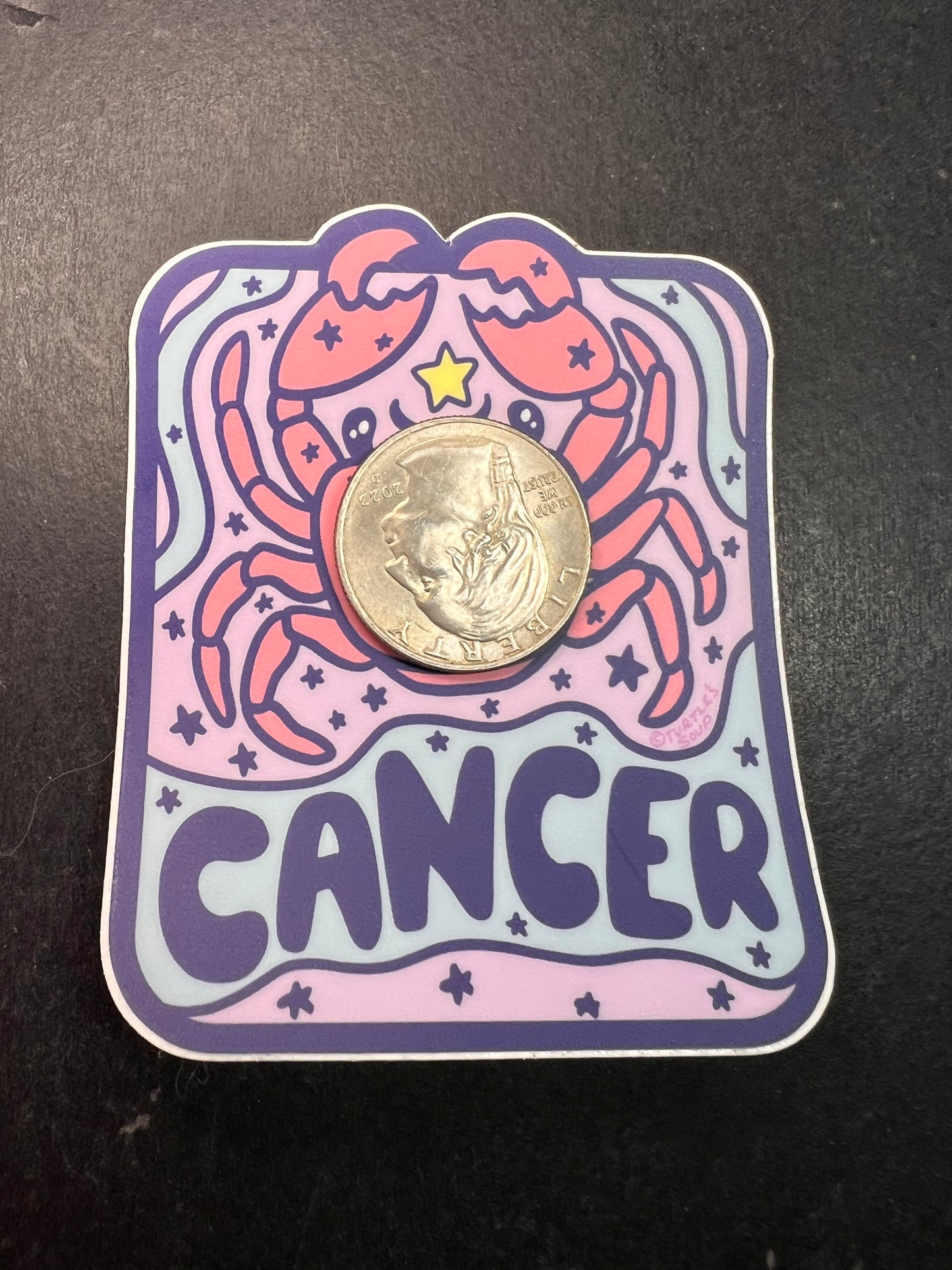 Turtle’s Soup Cancer Zodiac Sticker – Matte Vinyl Astrology Decal