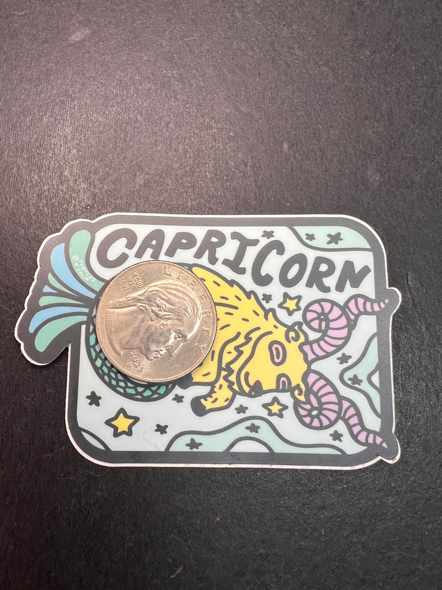 Turtle’s Soup Capricorn Zodiac Sticker – Waterproof Vinyl