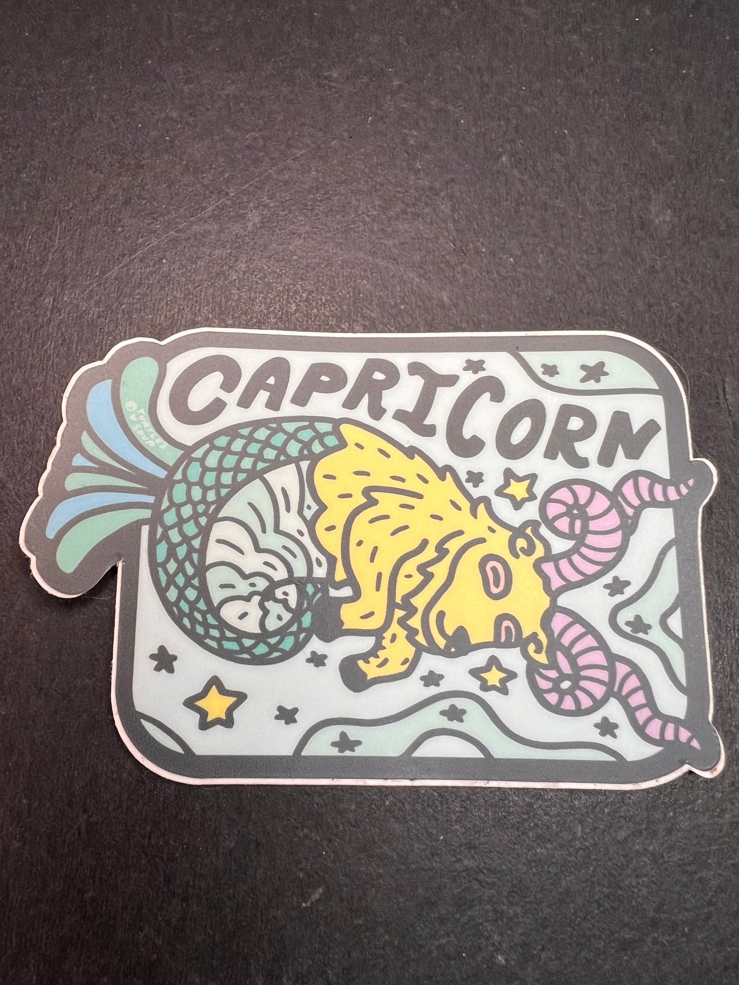 Turtle’s Soup Capricorn Zodiac Sticker – Waterproof Vinyl