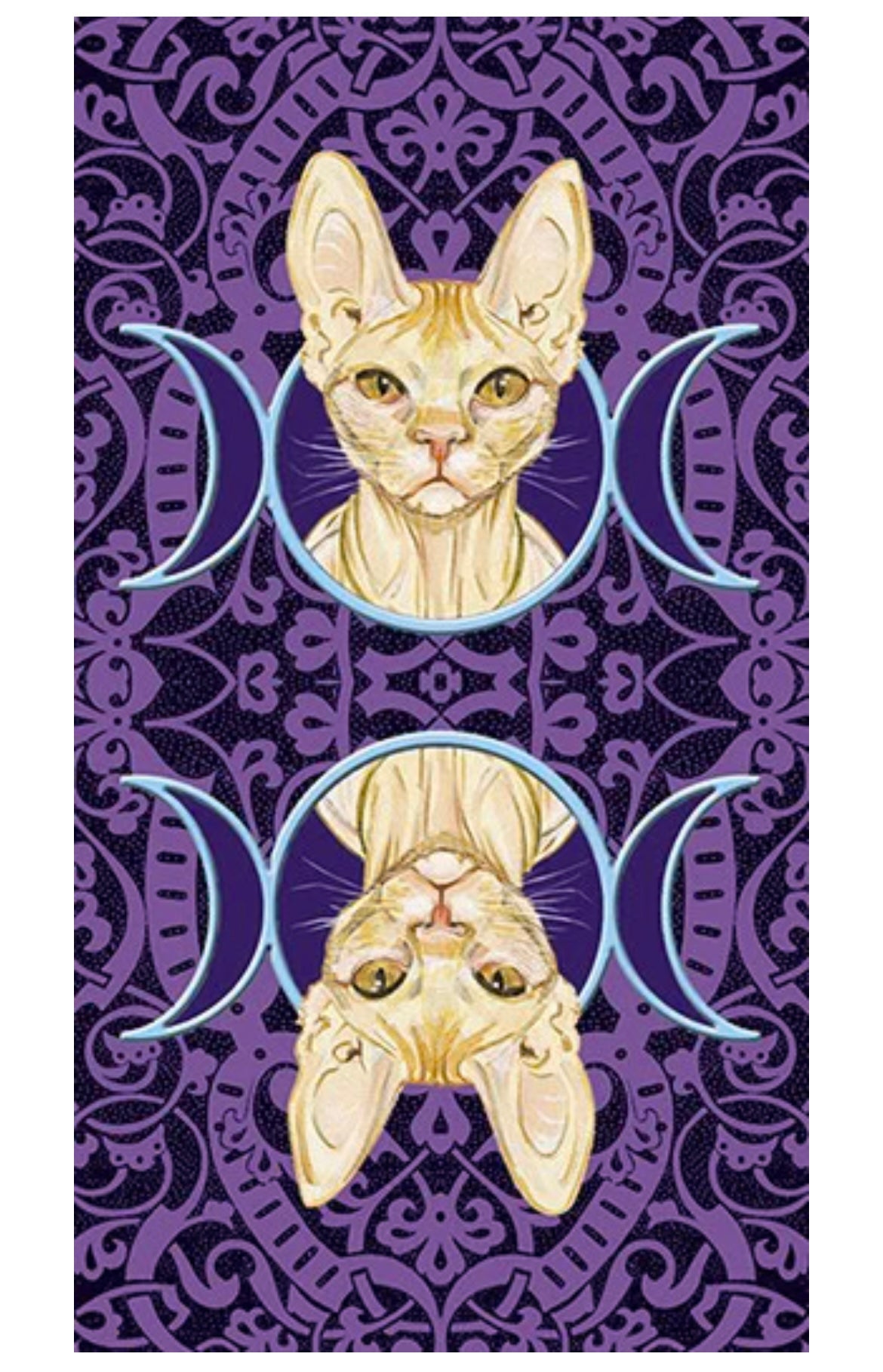 Tarot of the Pagan Cats