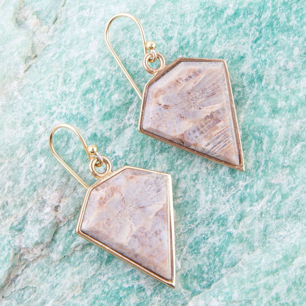 Lafayette Fossilized Coral Earrings